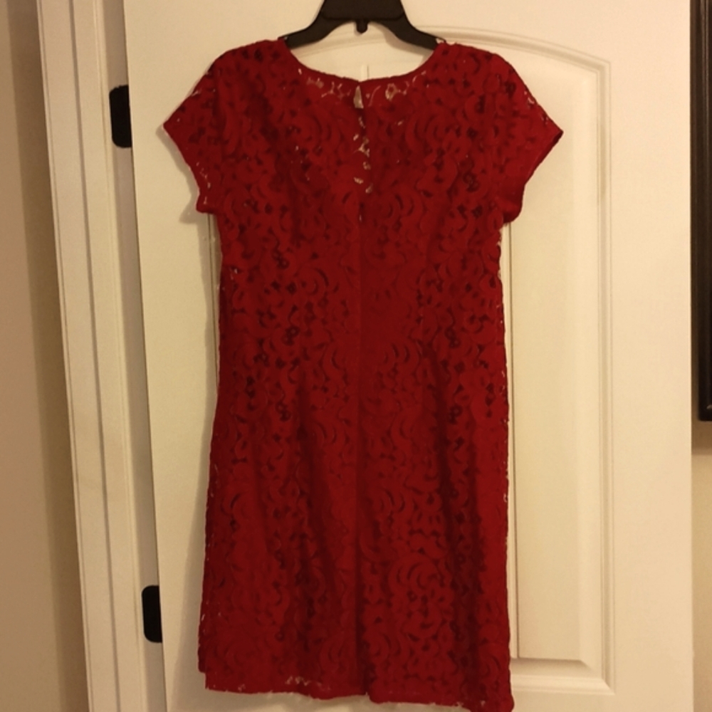 Loft Lace Dress - Picture 4 of 9